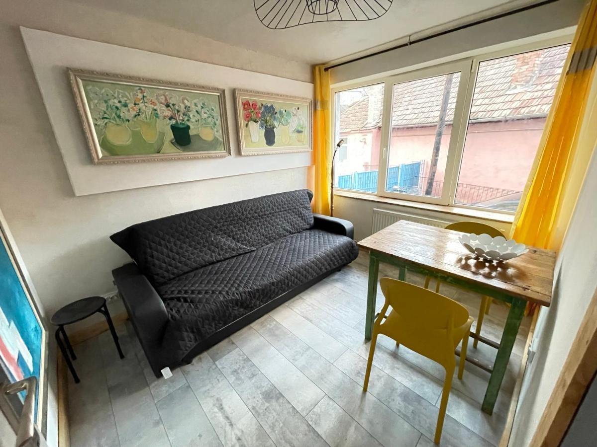 Art Apartments Govora Cluj Buitenkant foto